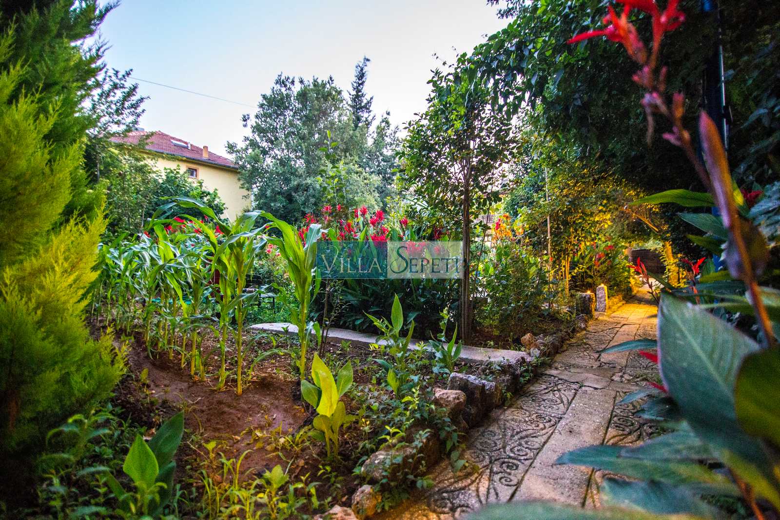 Villa fotoğrafı